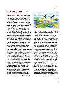 Birds of Kamchatka and the Commander Islands. Where to find and how to recognize